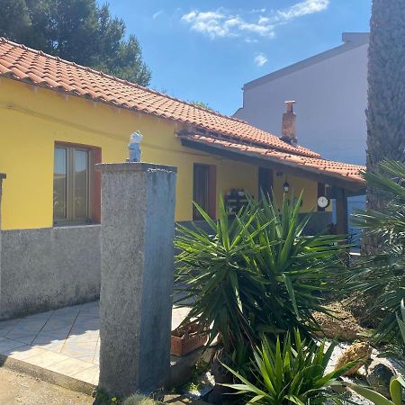 Casa Vacanza Sa Dommu De Teresa Nebida エクステリア 写真